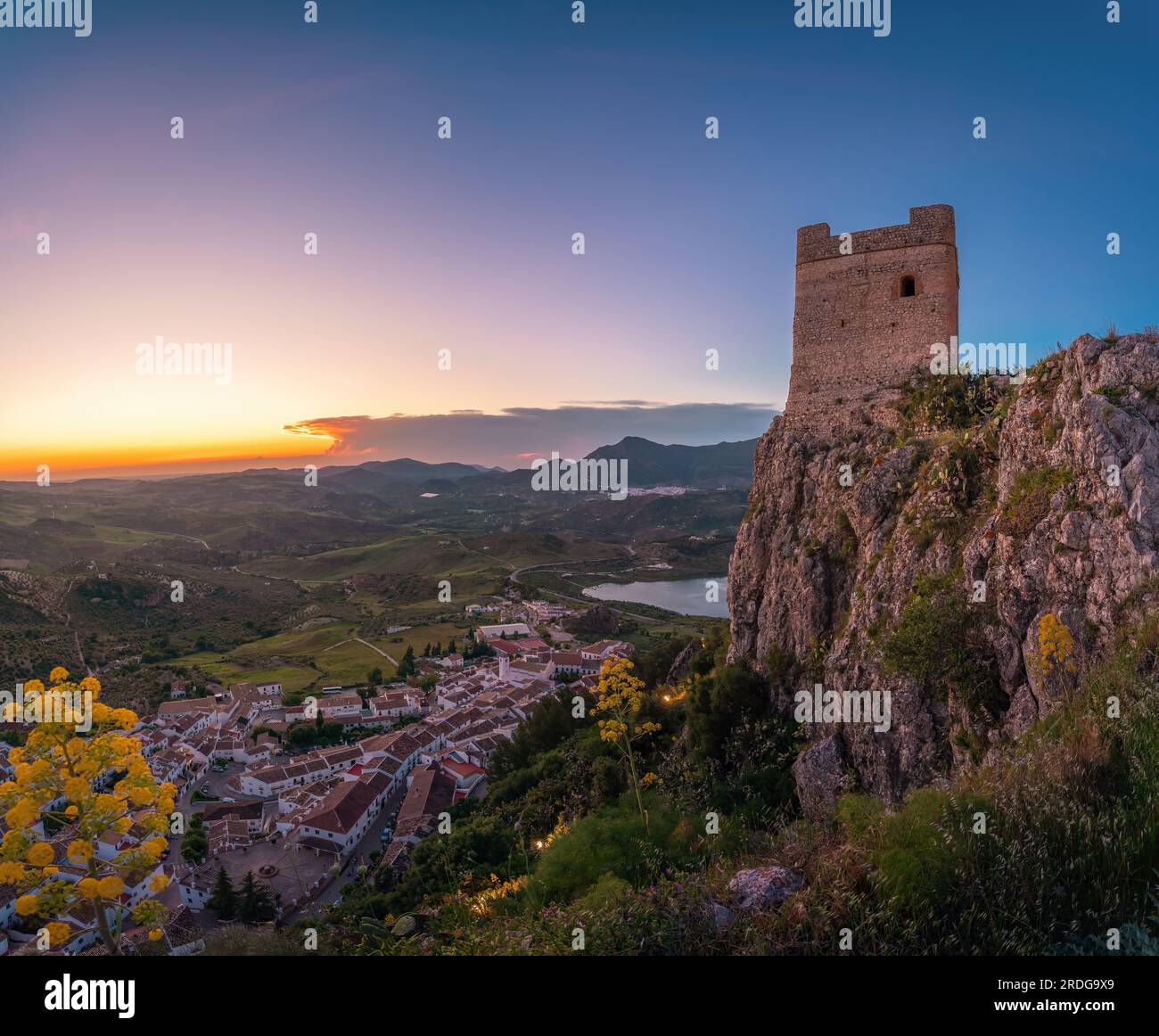 My Image 32