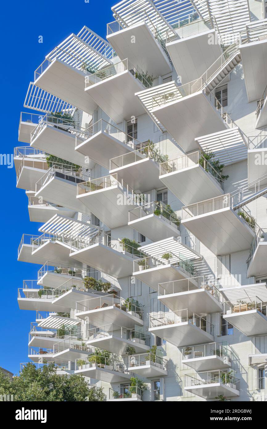 L'Arbre Blanc - White Tree - in Montpellier. Modelled on a tree, the curved 17-storey building contains 113 apartments with cantilevering balconies. Stock Photo