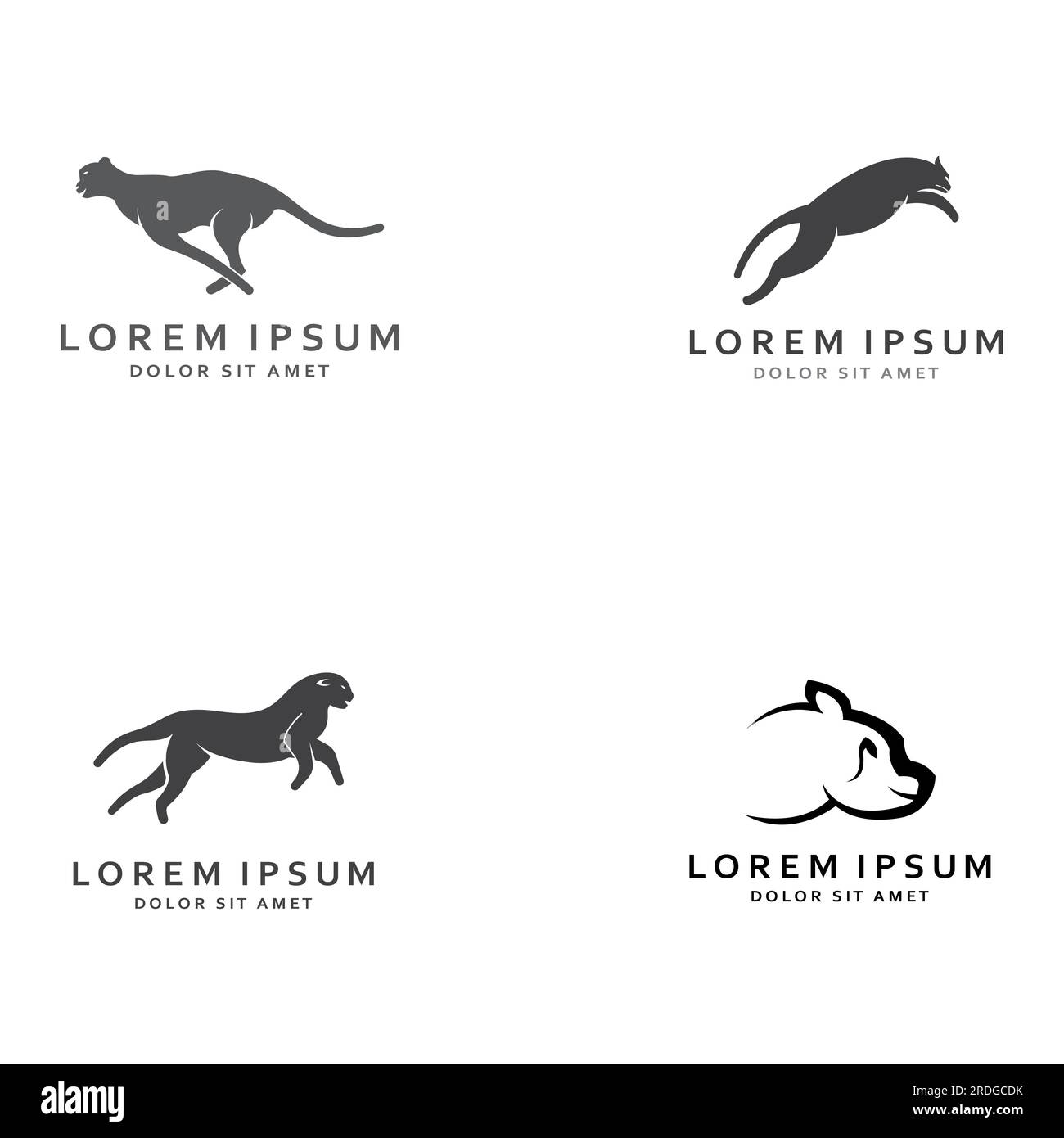 Cheetah animal logo with vector design concept Stock Vector Image & Art