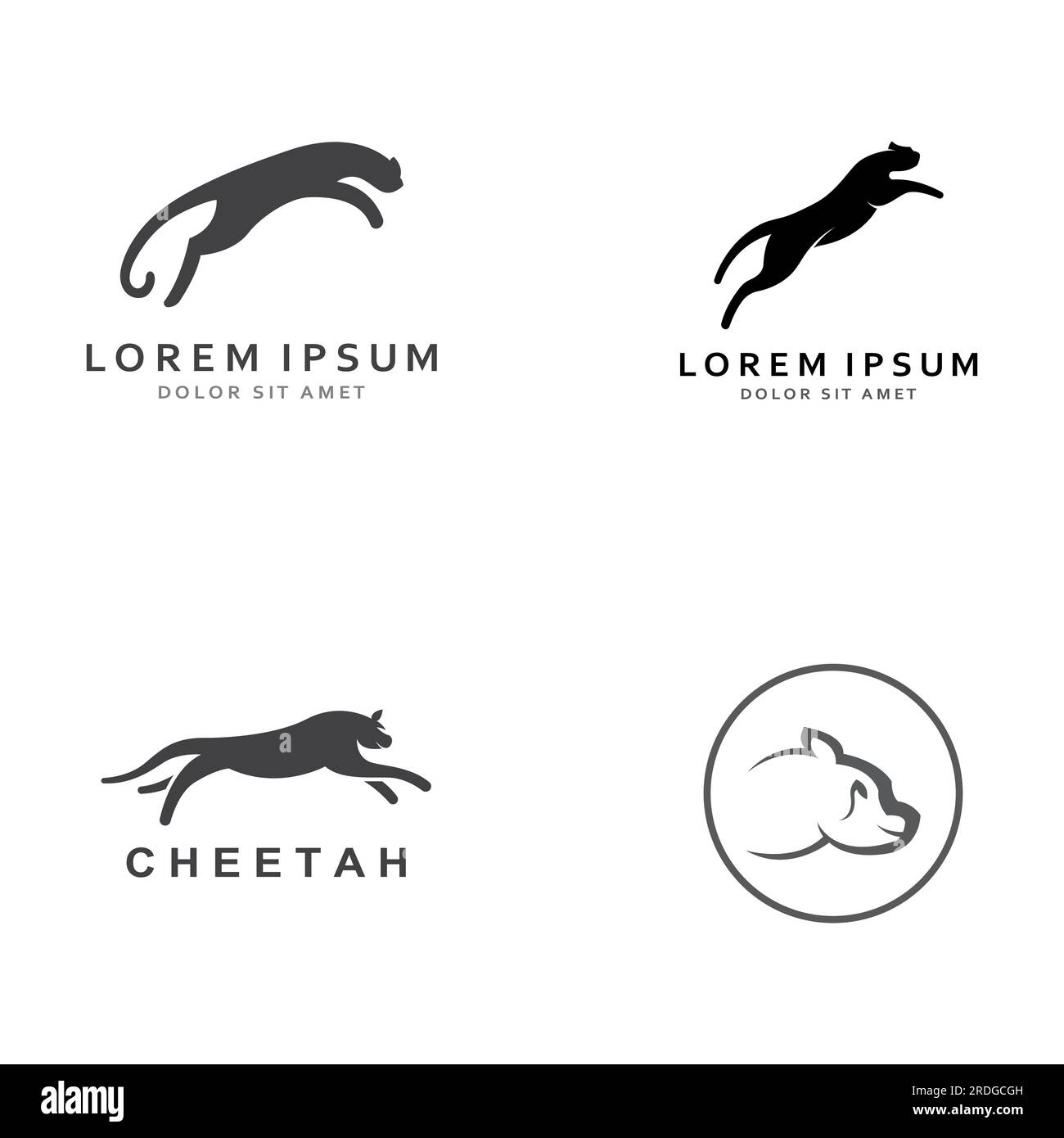 https://c8.alamy.com/comp/2RDGCGH/cheetah-animal-logo-with-vector-design-concept-2RDGCGH.jpg