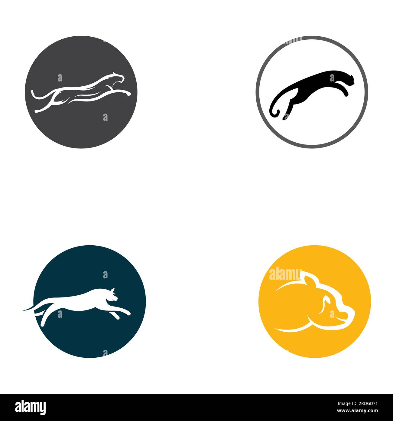 Cheetah animal logo with vector design concept Stock Vector Image & Art