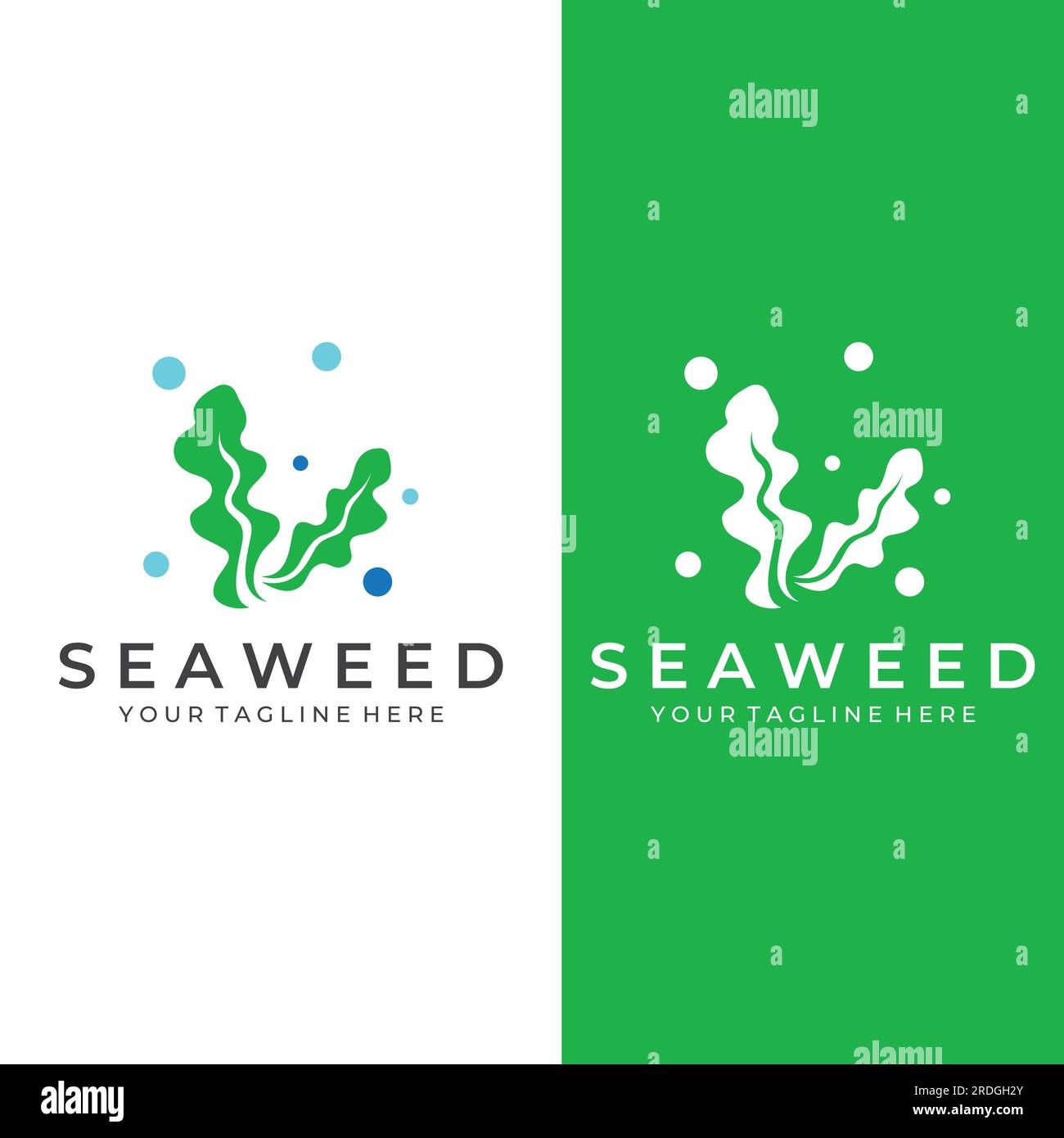 Seaweed logo with vector illustration design. Stock Vector