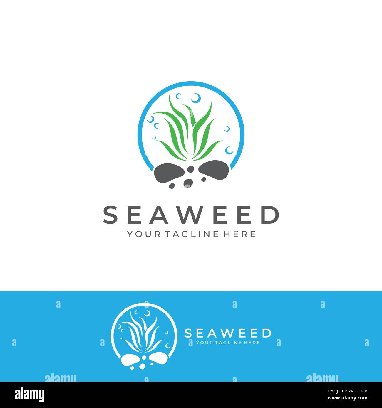 Seaweed logo with vector illustration design. Stock Vector