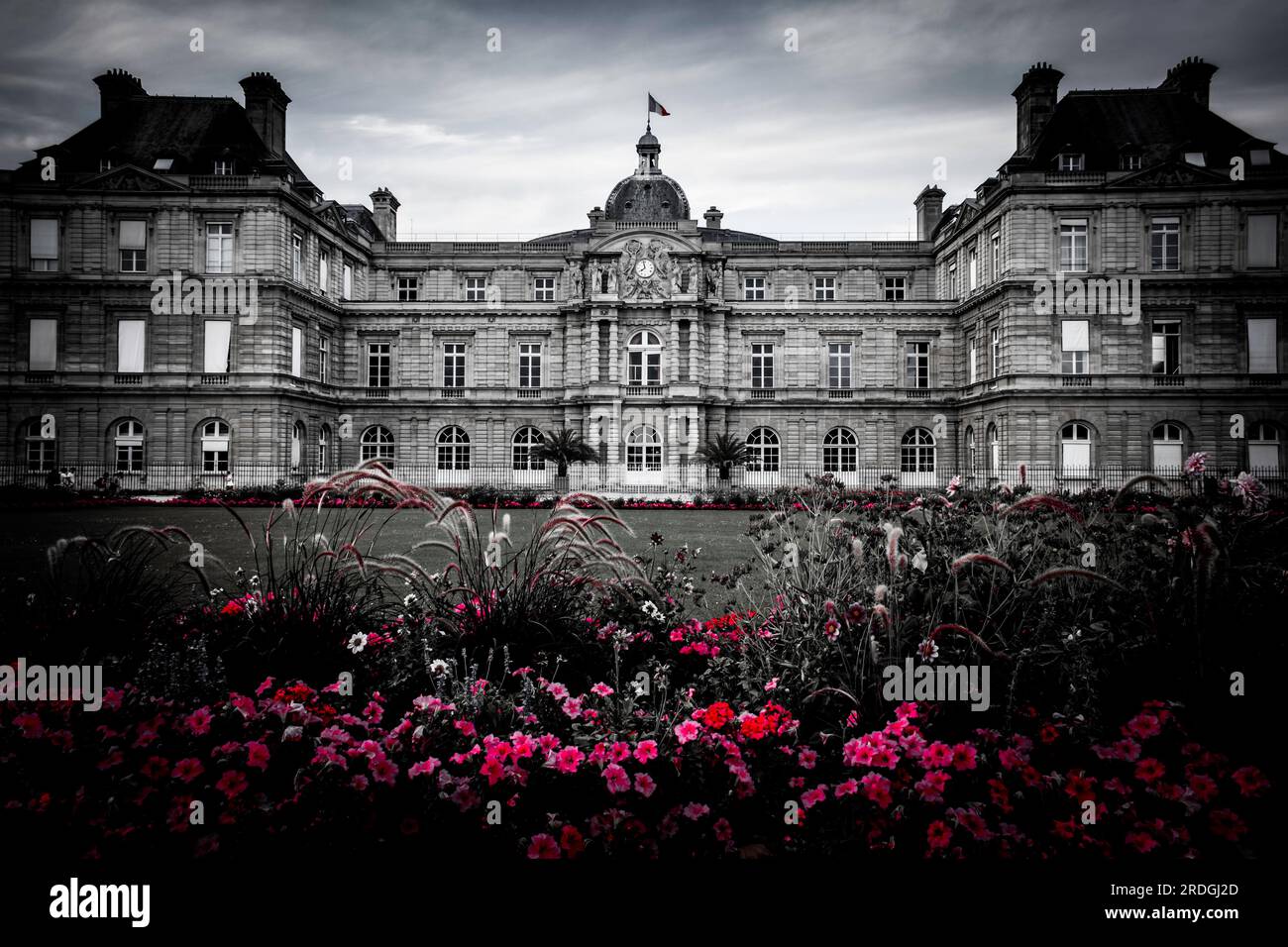 Flowers by the Luxembourg Palace in Selective Color - Paris, France Stock Photo