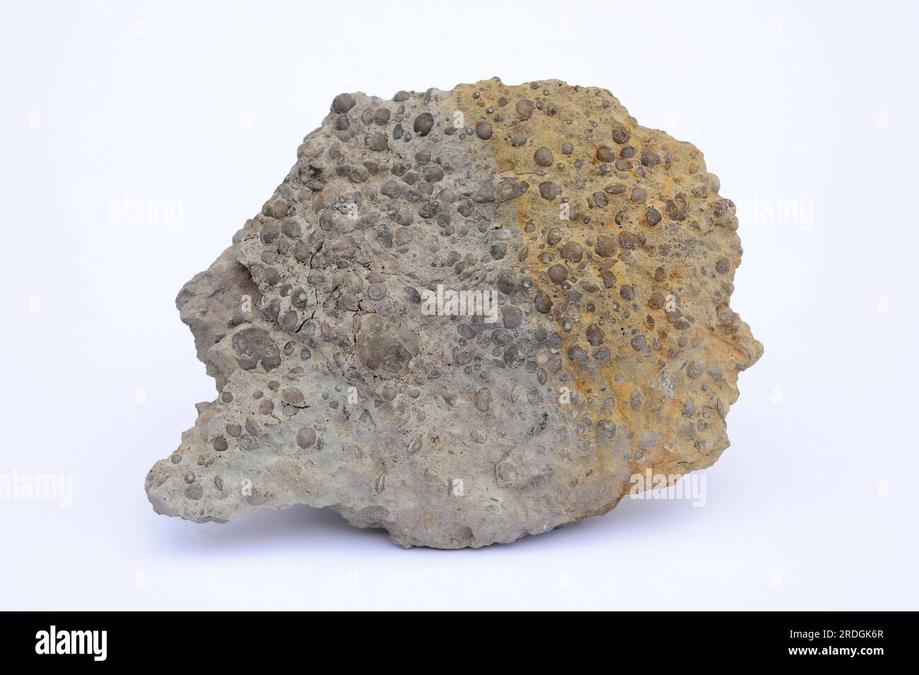 Mineralatlas Lexikon - pisiform limestone