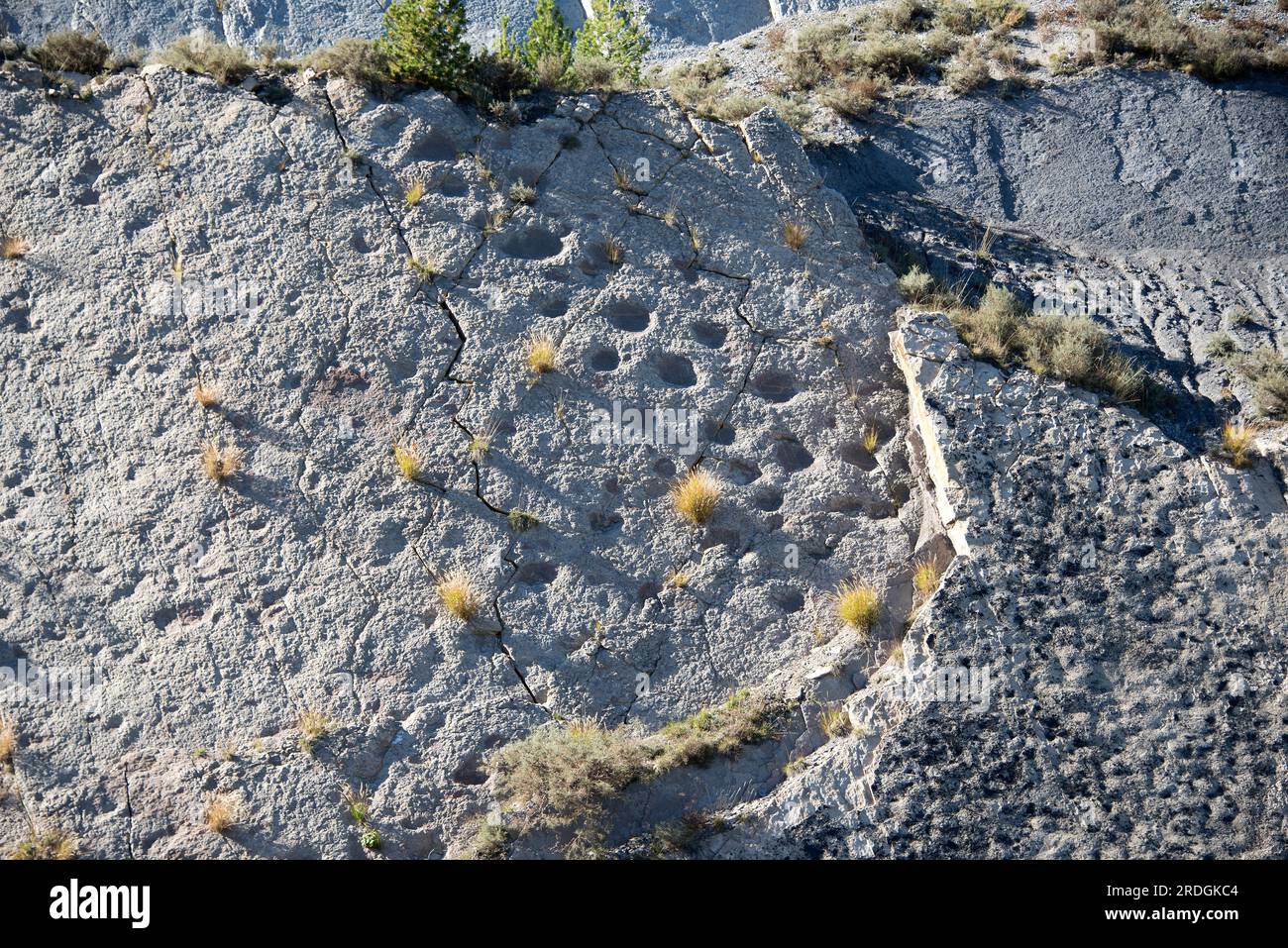 Ichnofossils or trace fossils of sauropods dinosaurs footprints (Titanosaurus). This photo was taken in Fumanya Nord, Figols, Barcelona, Catalonia, Sp Stock Photo