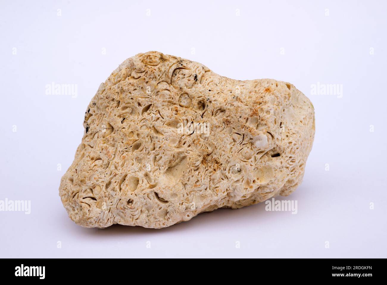 Lumachelle is a sedimentary rock composed of shells and limestone. This