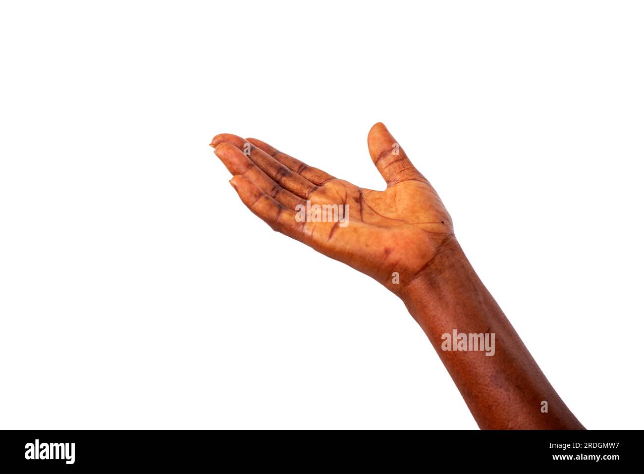 open female hand on white background. Stock Photo