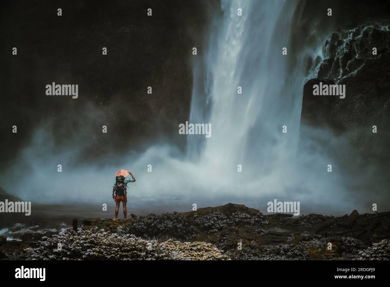 Mesmerized by Nature: A Man's Encounter with the Majestic Waterfall ...