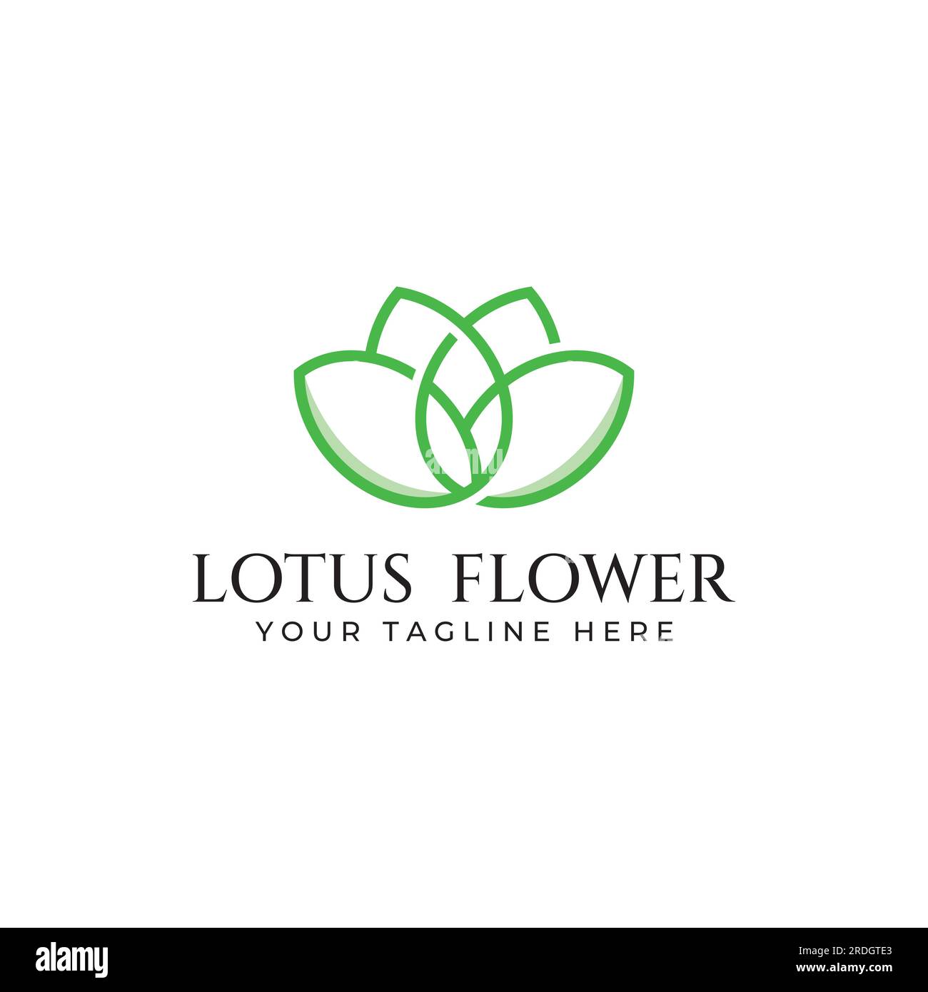 Beautiful and naturally beautiful lotus spa flowers, with luxurious and