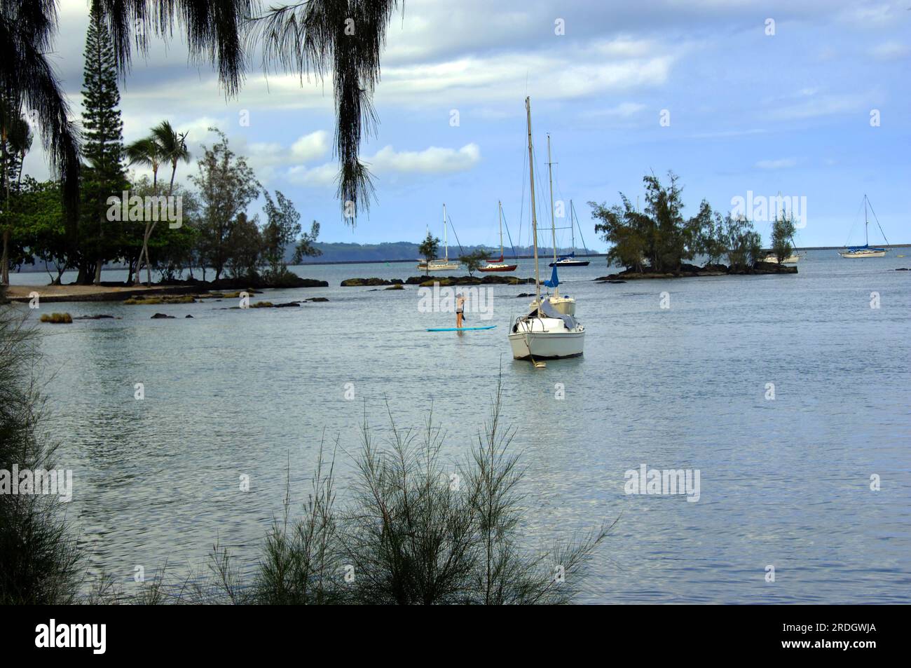 Female paddles the calm surface of Hilo Bay on the Big Island of Hawaii.  Boats lay at anchor. Stock Photo