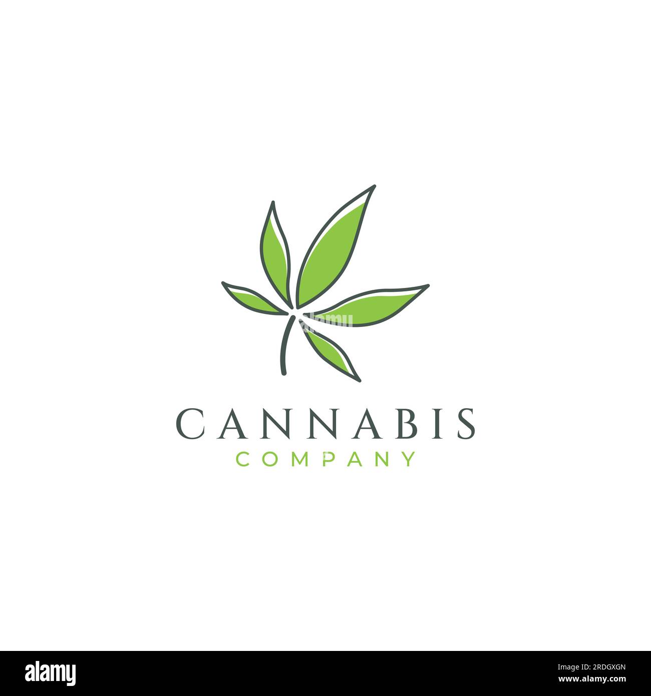 Marijuana or cannabis  leaf logo or template design. Stock Vector