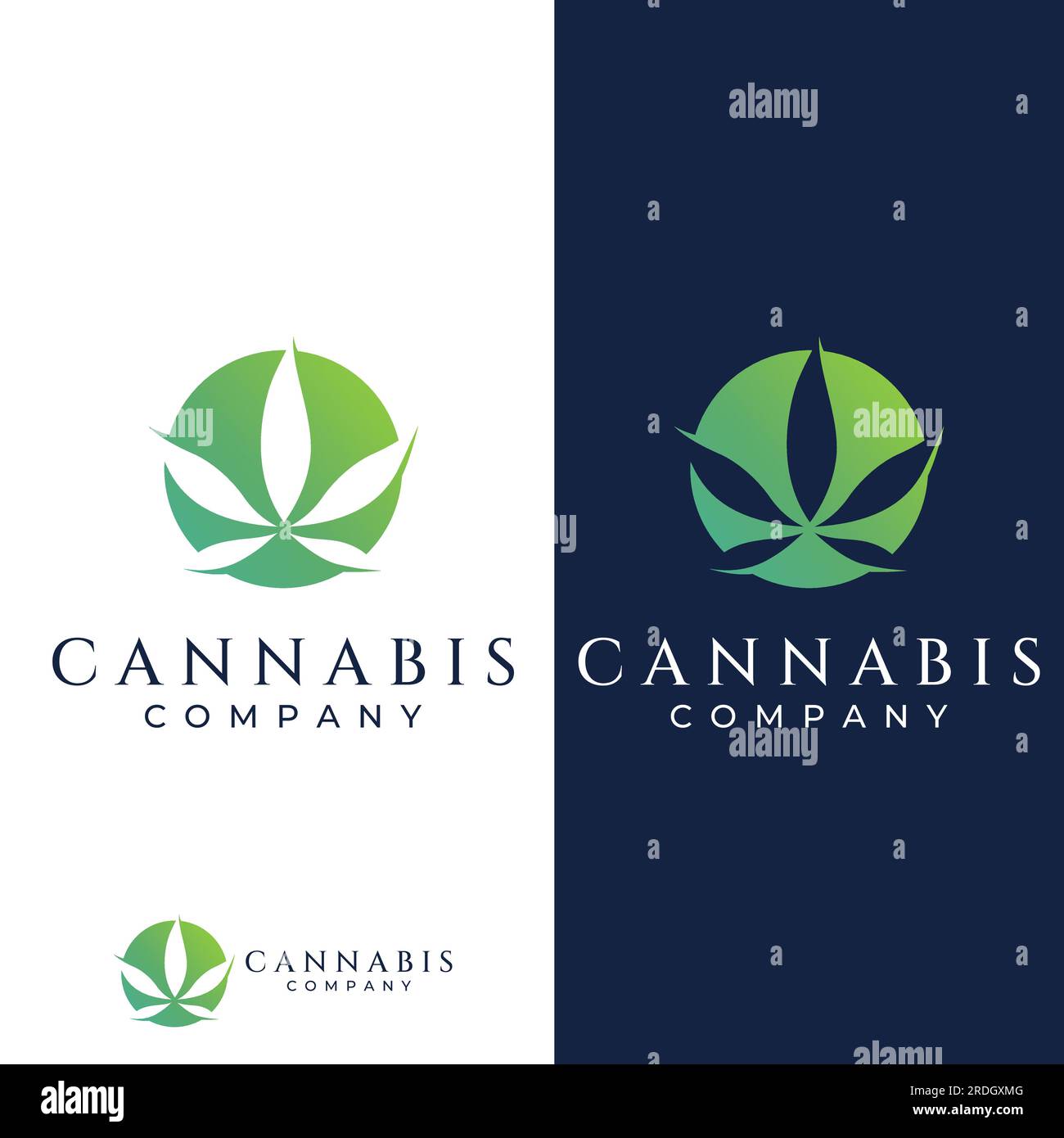 Marijuana or cannabis  leaf logo or template design. Stock Vector