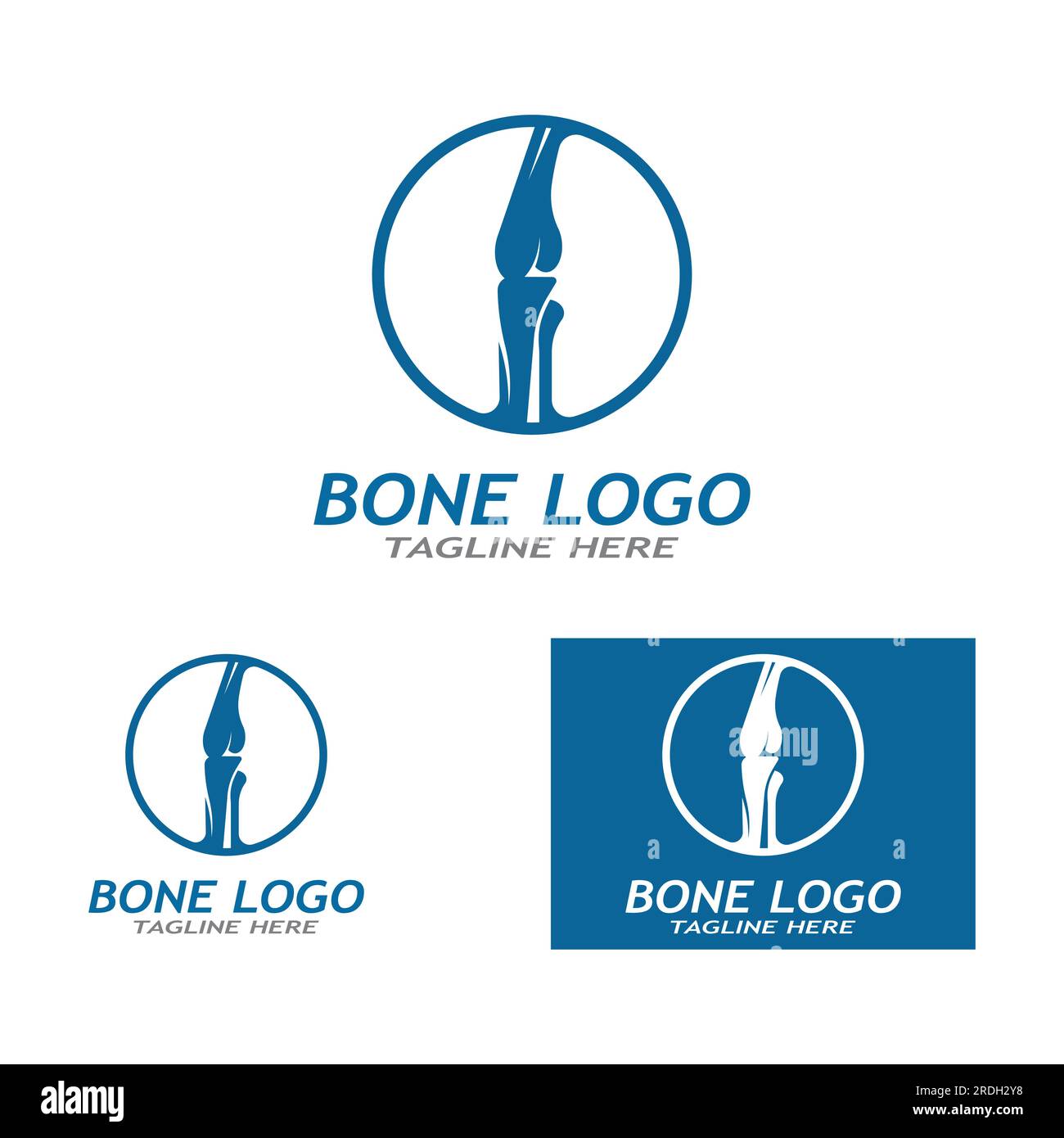 Bone logo icon vector design Stock Vector
