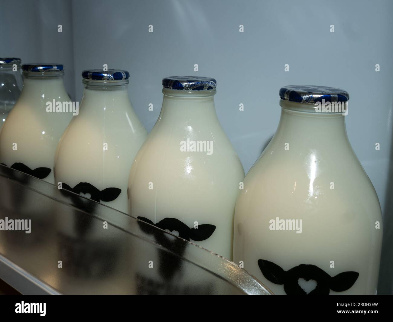 Row of branded 1 pint glass milk bottles with foil tops full of fresh milk in open domestic fridge doorway from local dairy farm, Leicestershire, UK Stock Photo