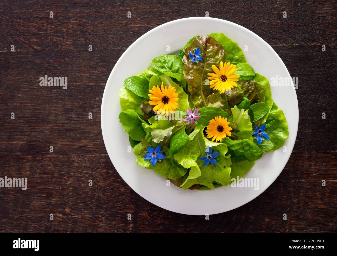 Healthy vegetable salad with wild edible flowers on the plate. Lettuce