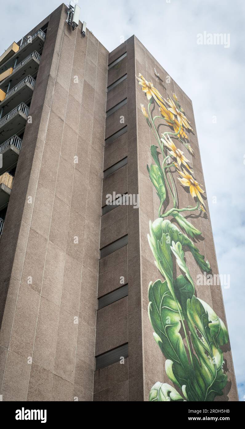 Zwolle, the Netherlands - July 21st 2023: The blind wall of the Lelieflat was decorated with this beautifull mural by Lonneke Schildert in 2022. Stock Photo