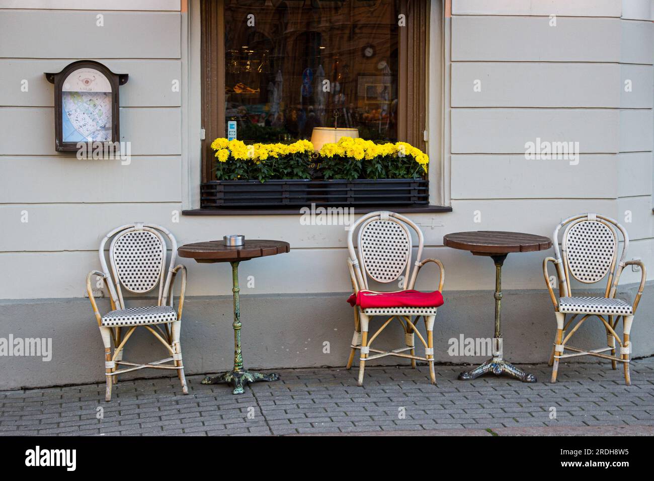 Three chairs and two tables await visitors.yellow flowers and a