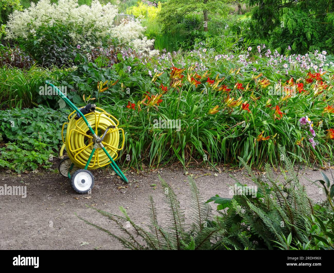 Yellow Hose and hose reel in natural garden setting Stock Photo