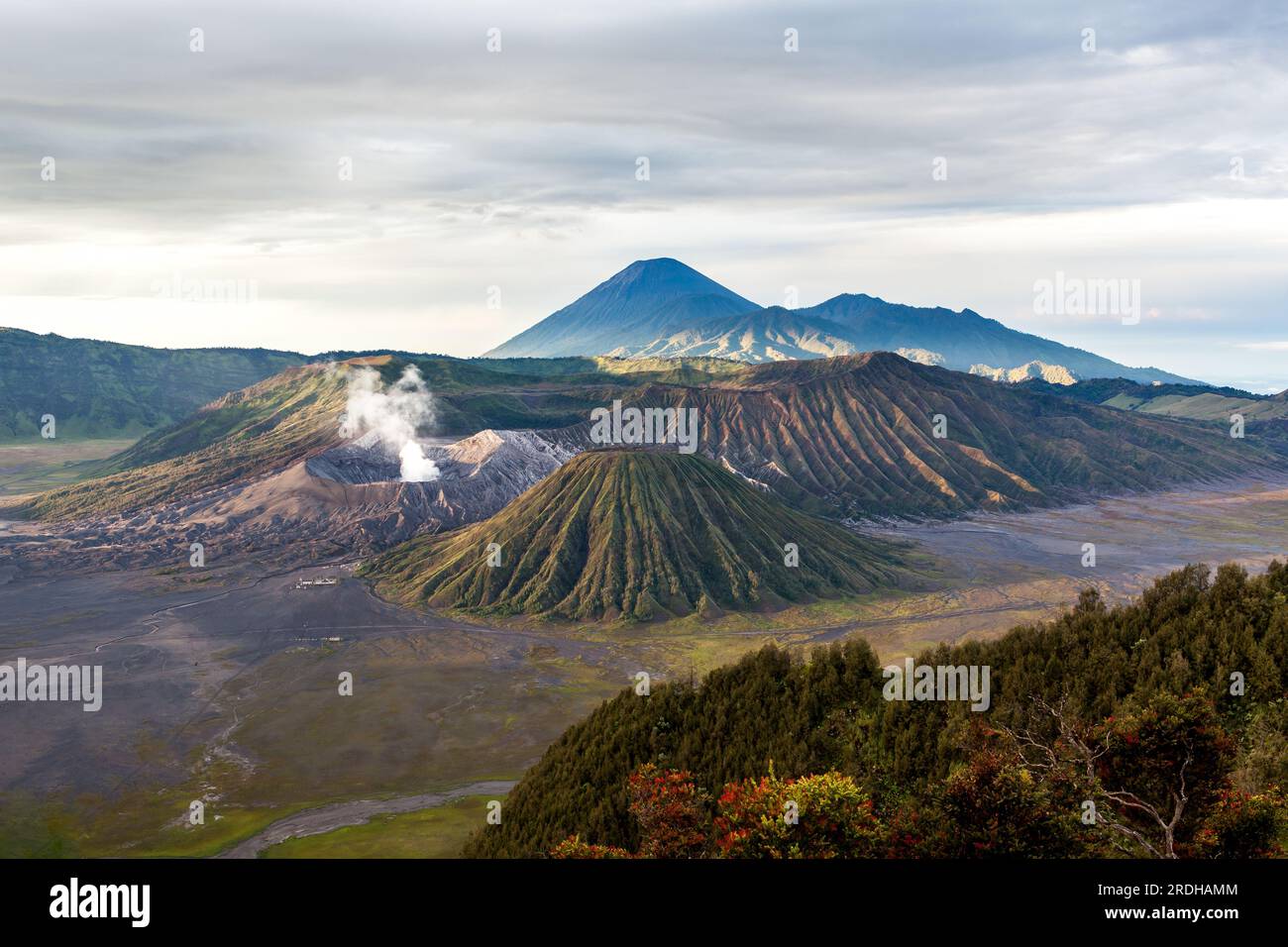 Astonishing Bromo and Semeru volcanoes at Java island, Indonesia. Stock Photo