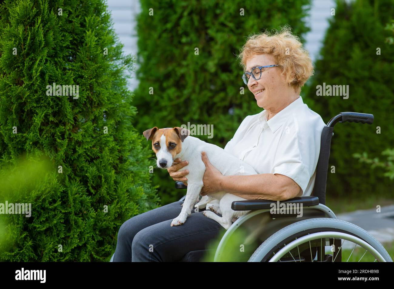 Elderly caucasian woman hugging a jack russell terrier dog while