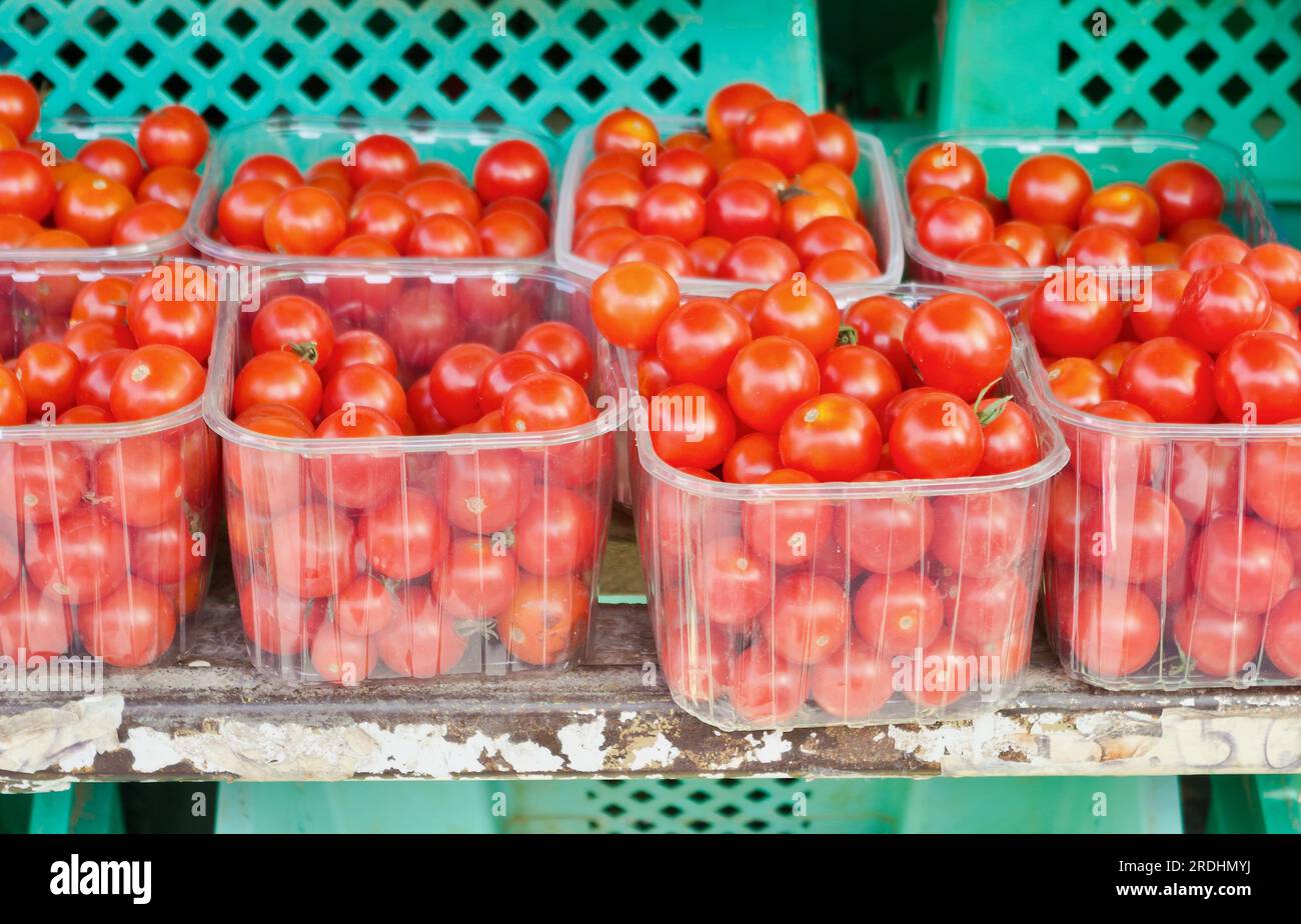 Small red tomatoes in plastic boxes for sale at farmers market Stock