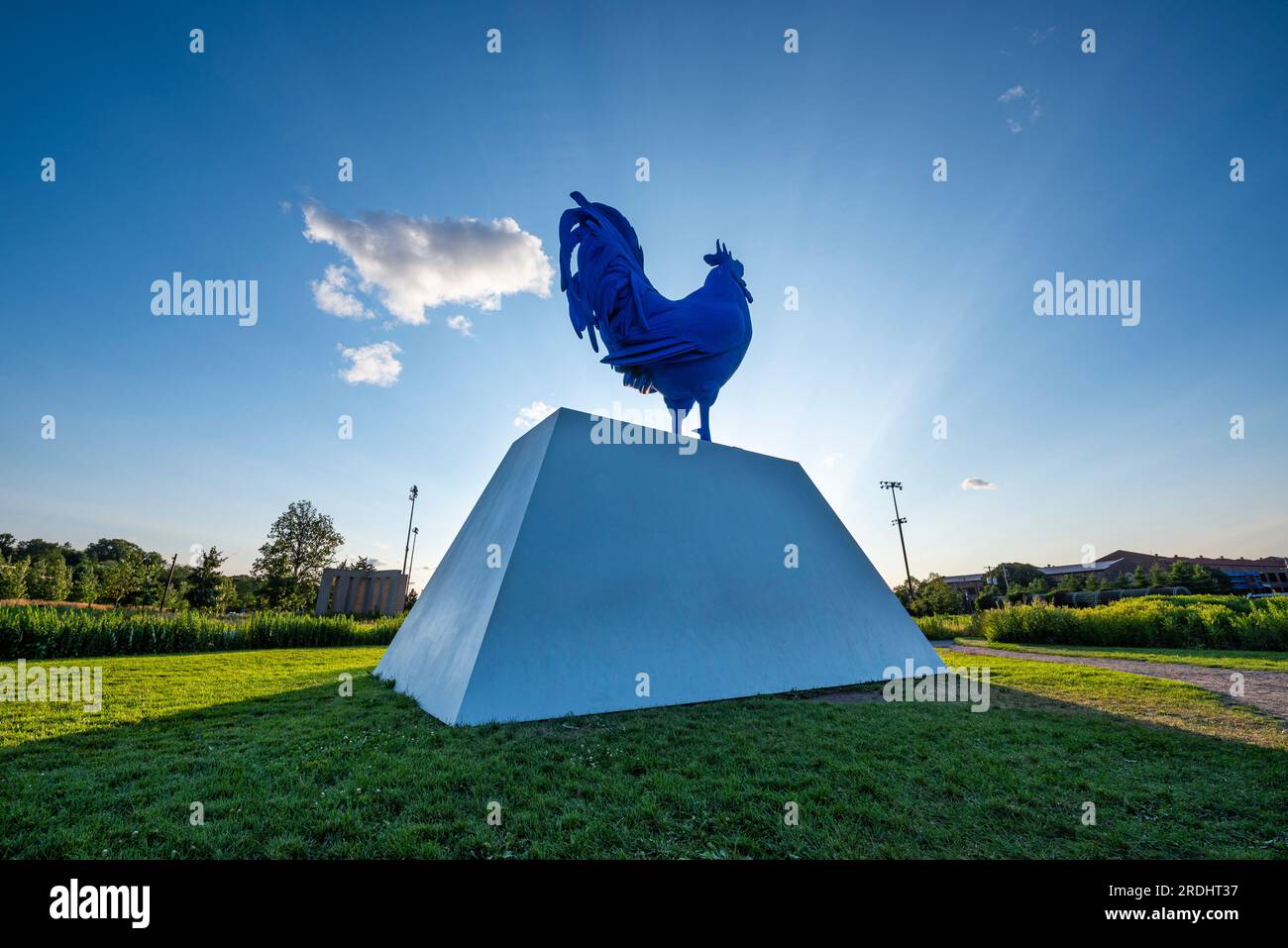Famous blue rooster sculpture at Minneapolis' Sculpture Garden, in Minnesota Stock Photo Alamy