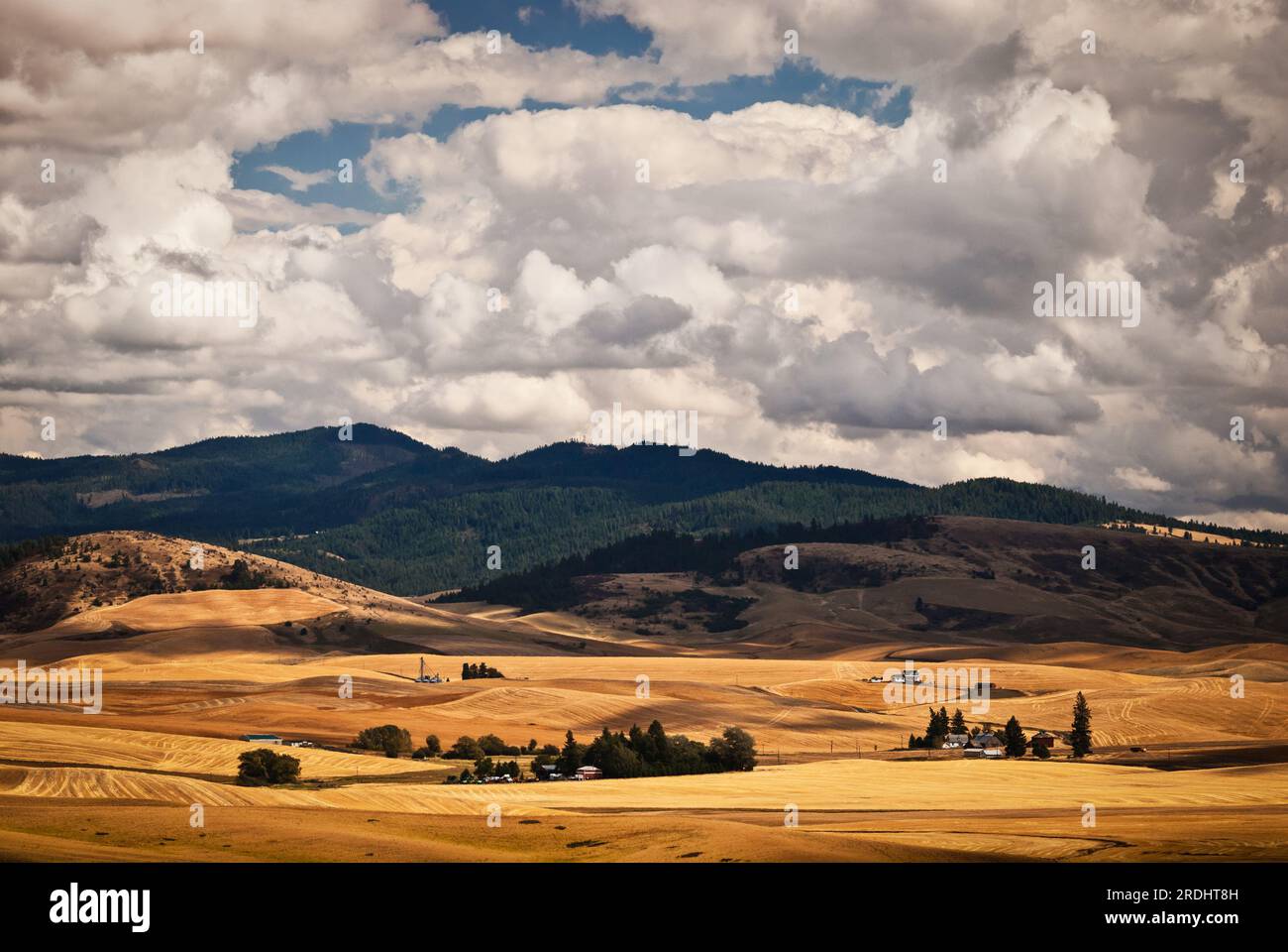 Farms, fields and Forested Ridges, Washington and Idaho border, USA. Stock Photo