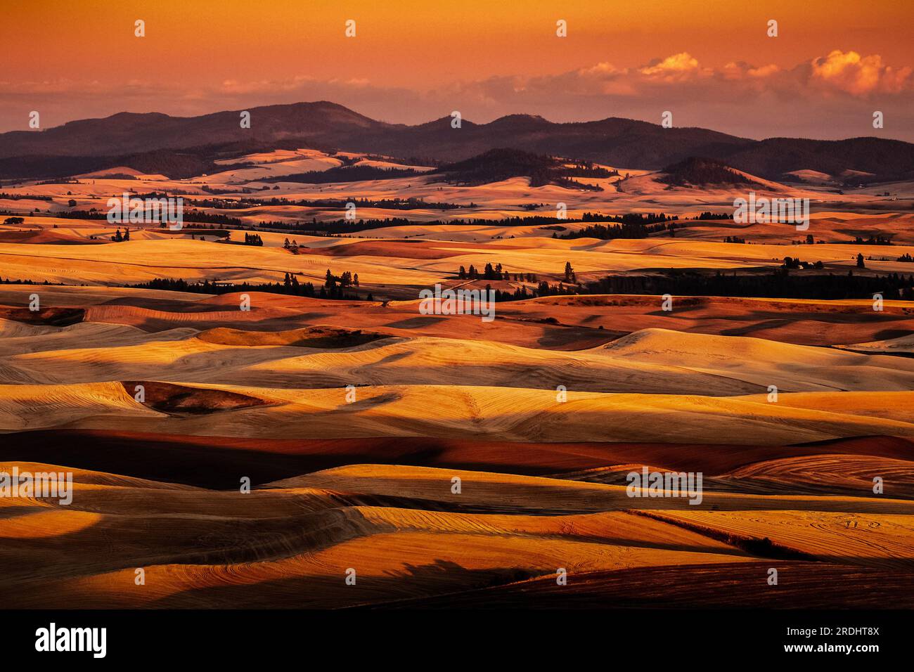 Rolling hills and the Palouse Range in late summer, at sunset, Idaho and Washington. Stock Photo