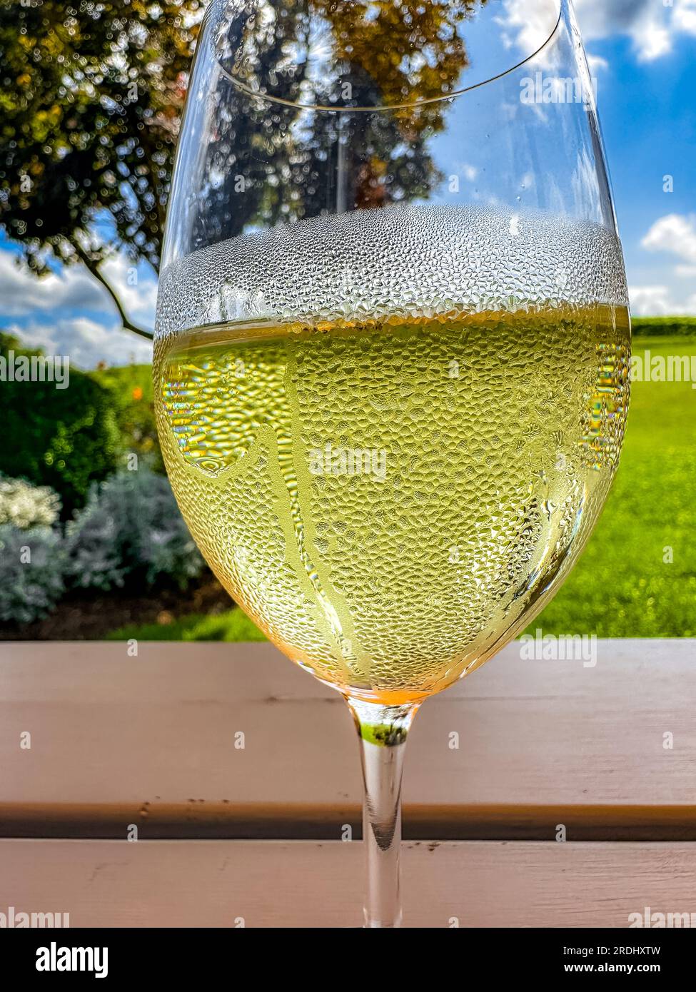 Close up of a wine glass with condensation on it in an outdoor setting. Stock Photo