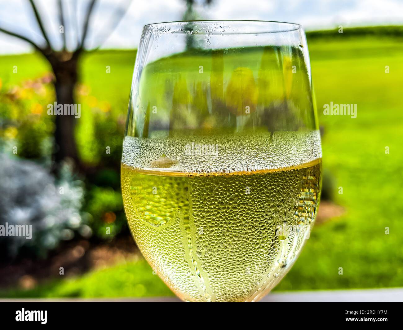 Glass white wine condensation hi-res stock photography and images ...