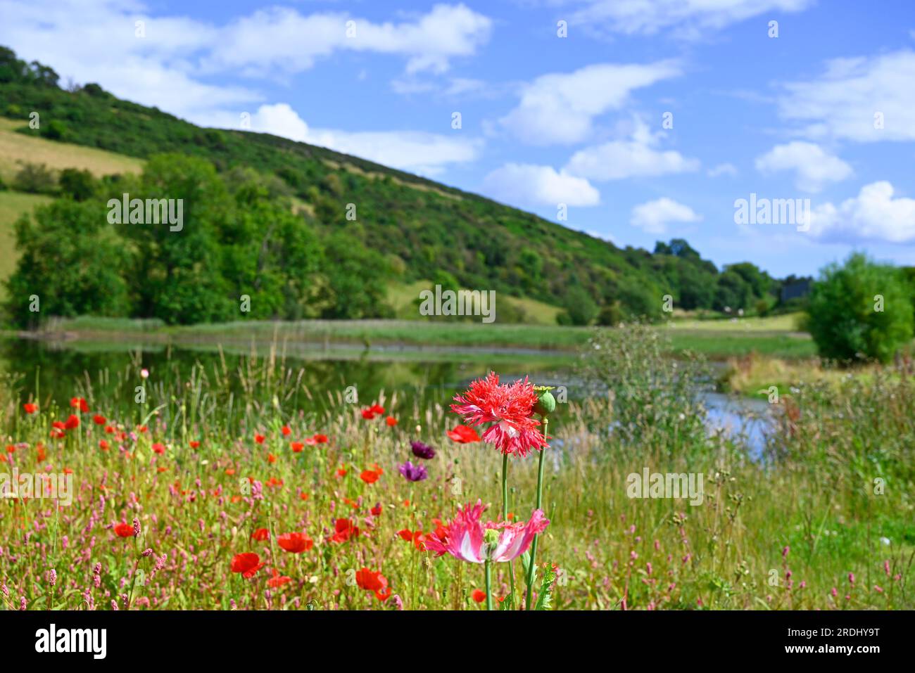 Goldenloch Fife Scotland Stock Photo Alamy