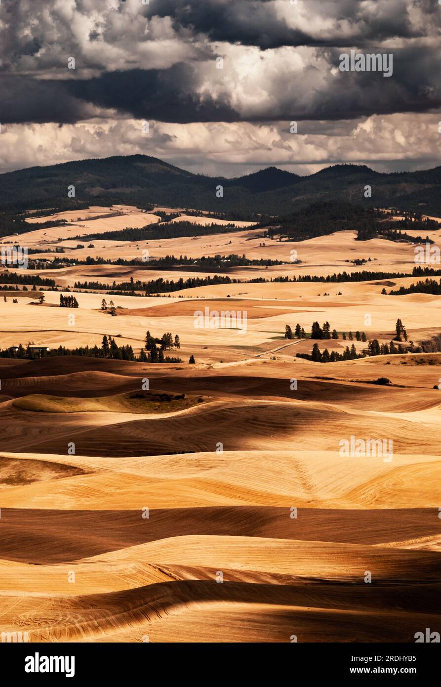 Rolling hills and the Palouse Mountain Range on a late summer day after the wheat harvest. Washington and Idaho, USA. Stock Photo