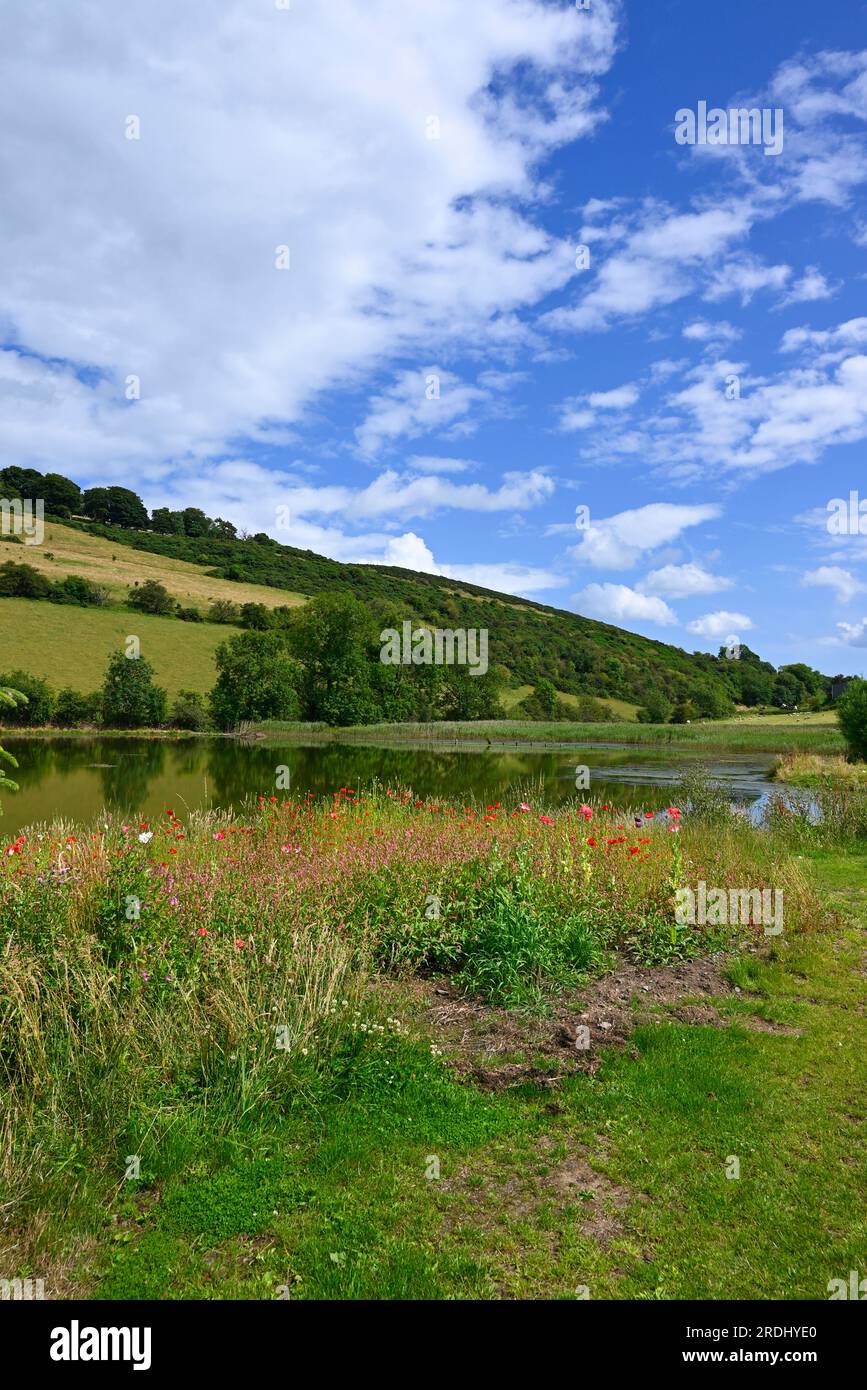 Newburgh fife scotland hires stock photography and images Alamy