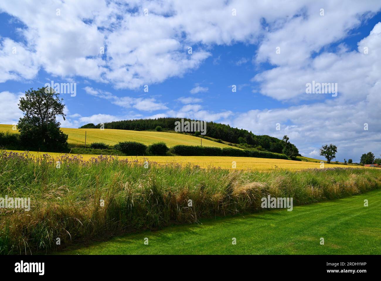 Goldenloch Fife Scotland Stock Photo Alamy