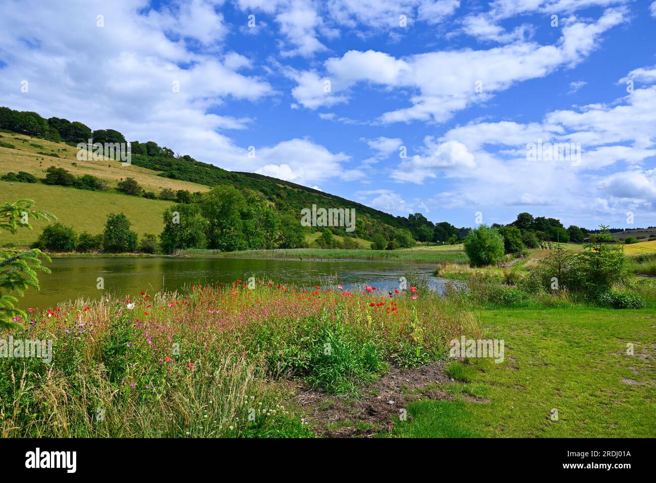 Goldenloch fishing hires stock photography and images Alamy