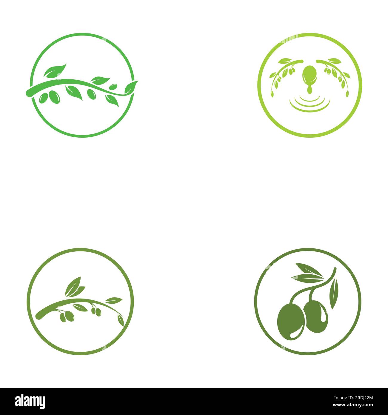 Olive Vectors & Illustrations for Free Download