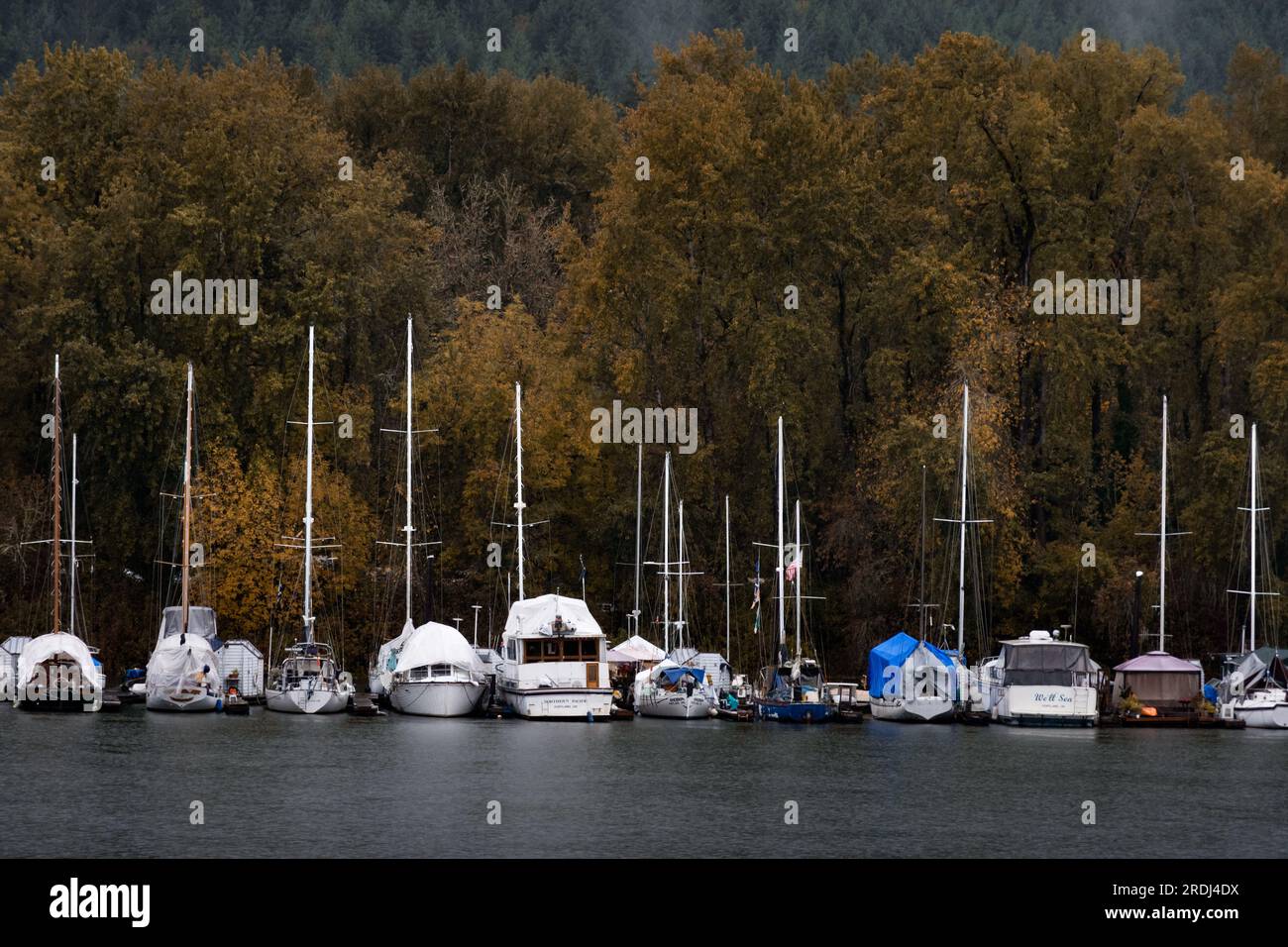 Docked boats on a rainy, autumn day along a slough of the Columbia