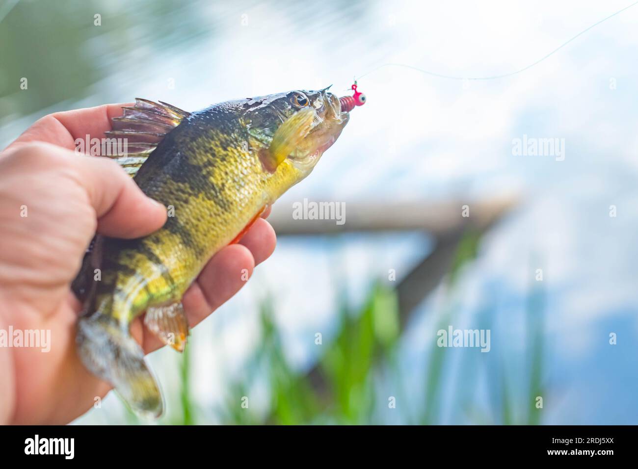 Line fishing fishing in the lake hi-res stock photography and images - Page  7 - Alamy
