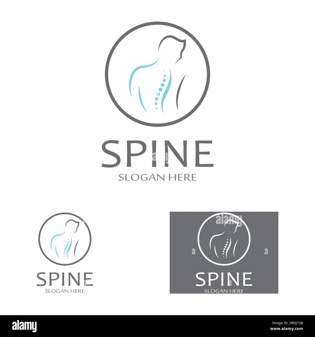 Spinal diagnostics, spine care and spine health.With modern vector icon ...