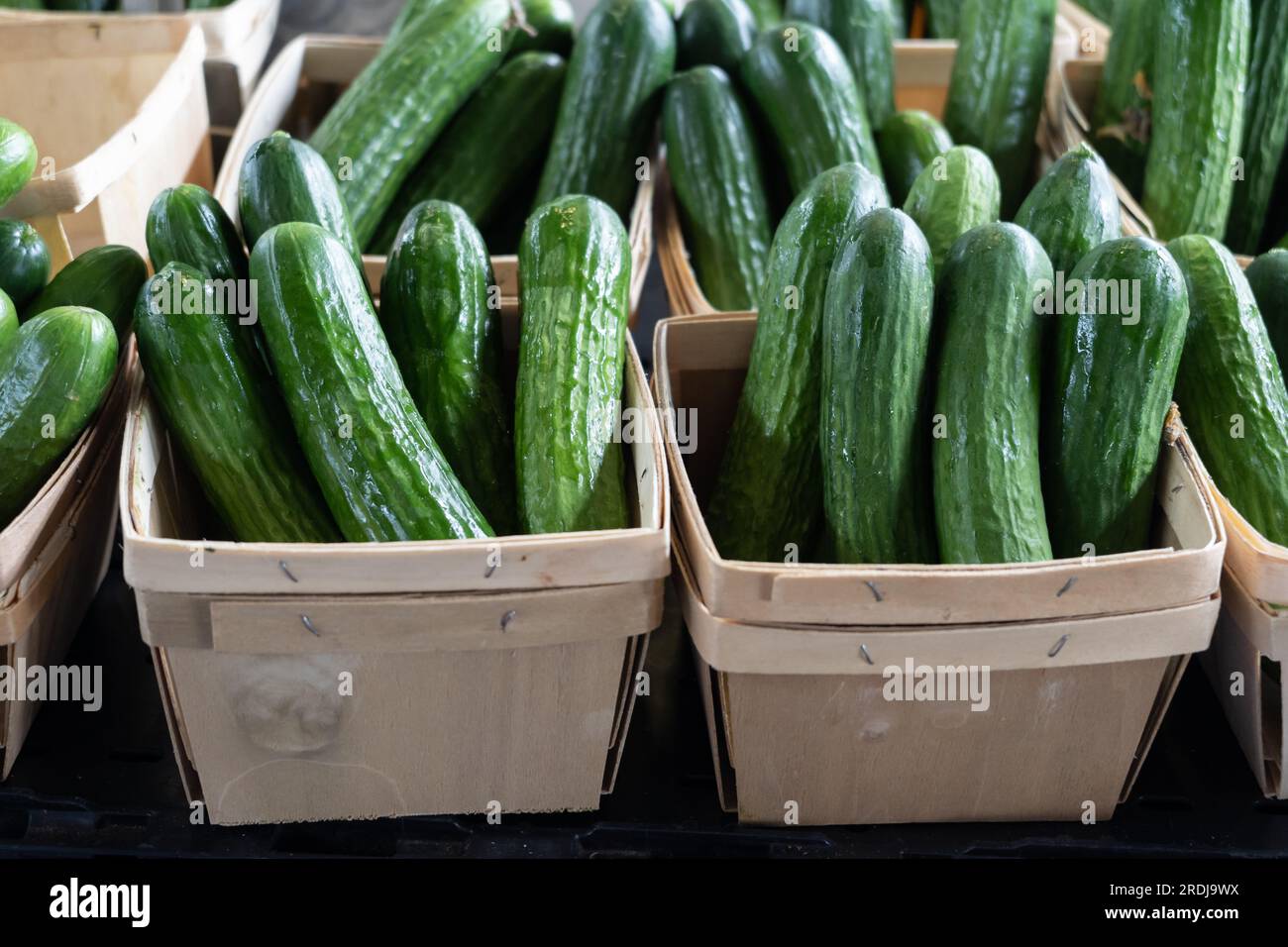 Fresh cucumbers on a wooden table. Stock Photo