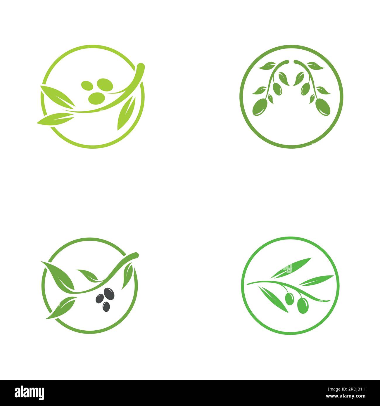 olive icon vector illustration design Stock Vector