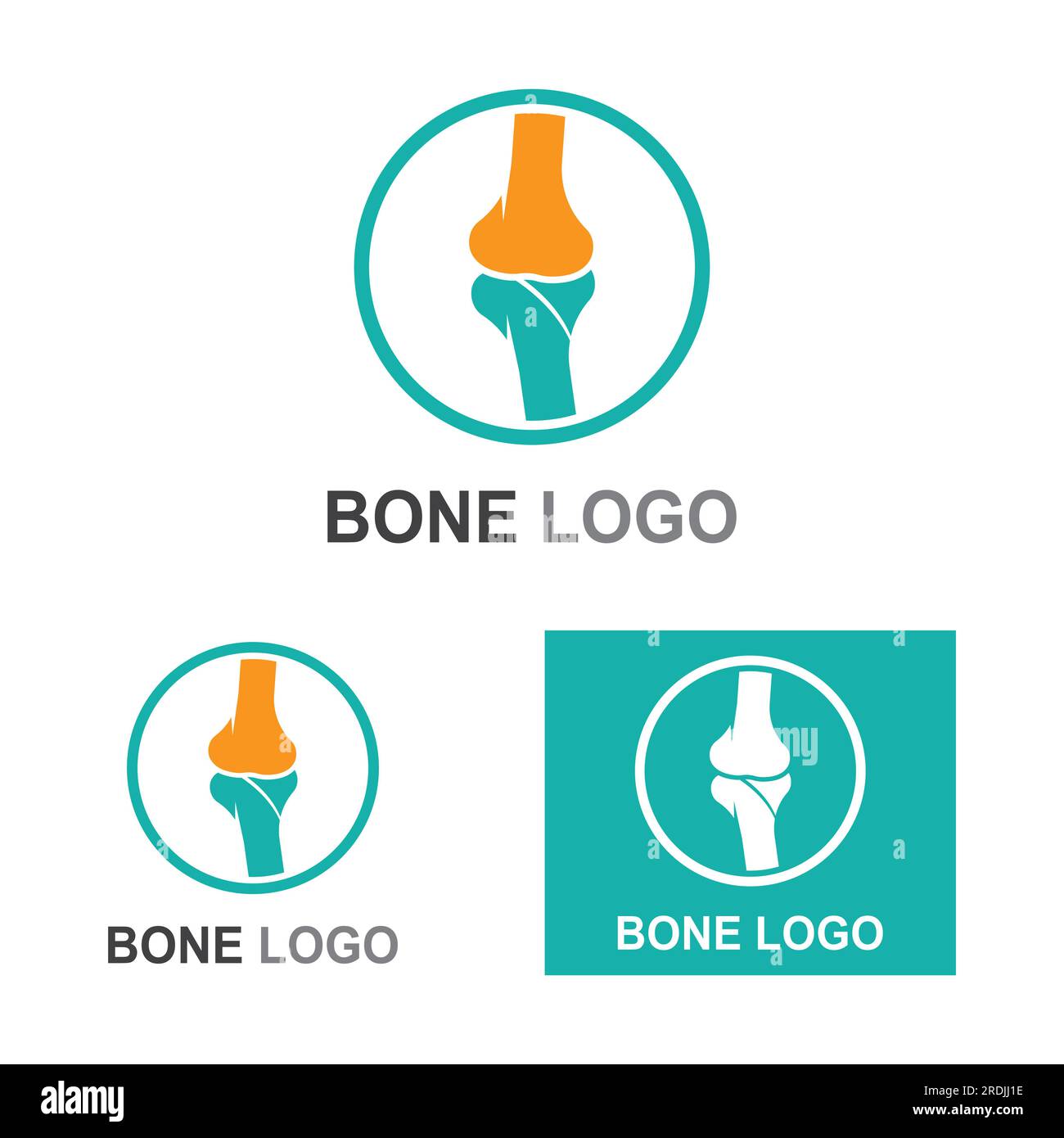 Anatomy calcium bone health vector osteoporosis nutrition hi-res stock ...