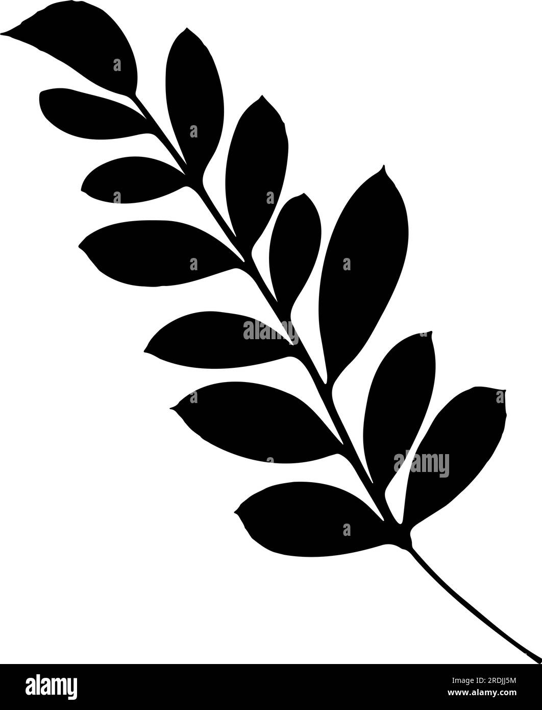 Twig with leaves silhouette. Vector illustration Stock Vector