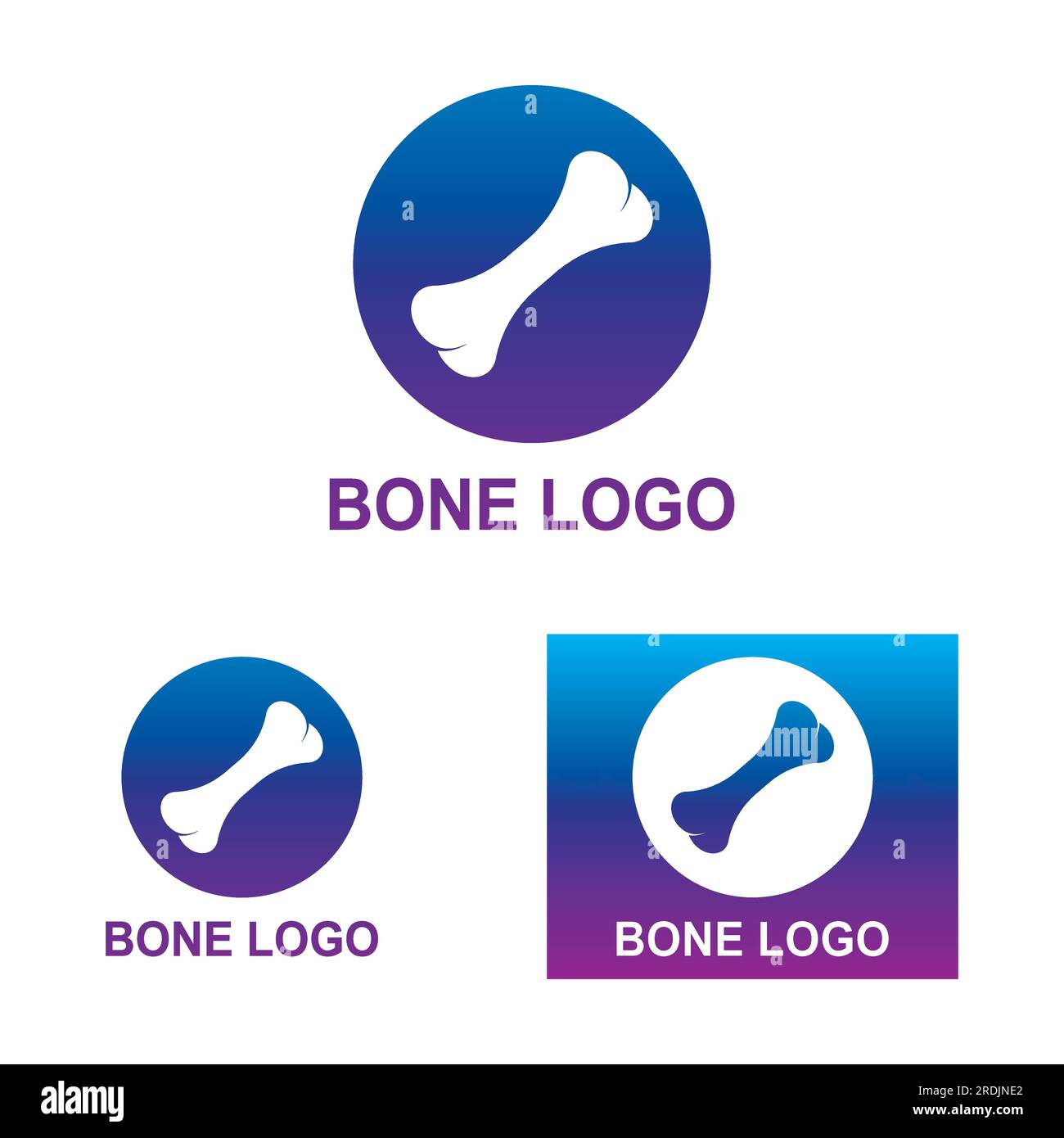 Bone logo icon vector design Stock Vector