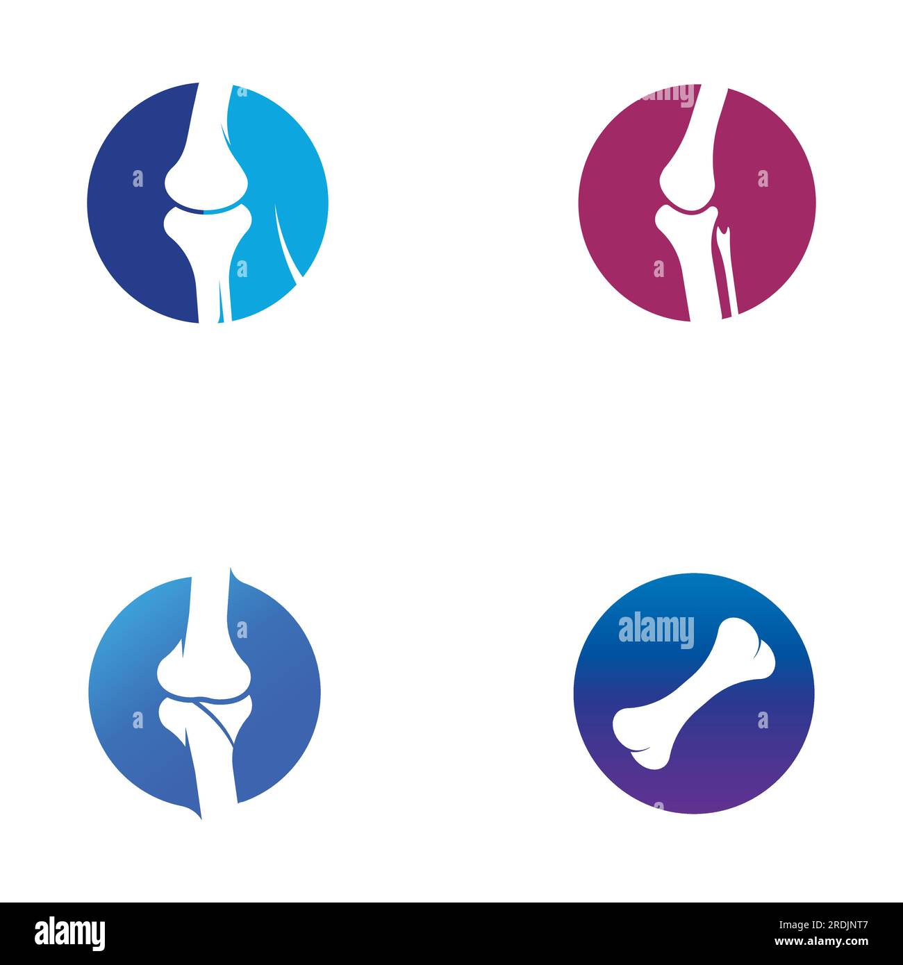 Bone logo icon vector design Stock Vector Image & Art - Alamy