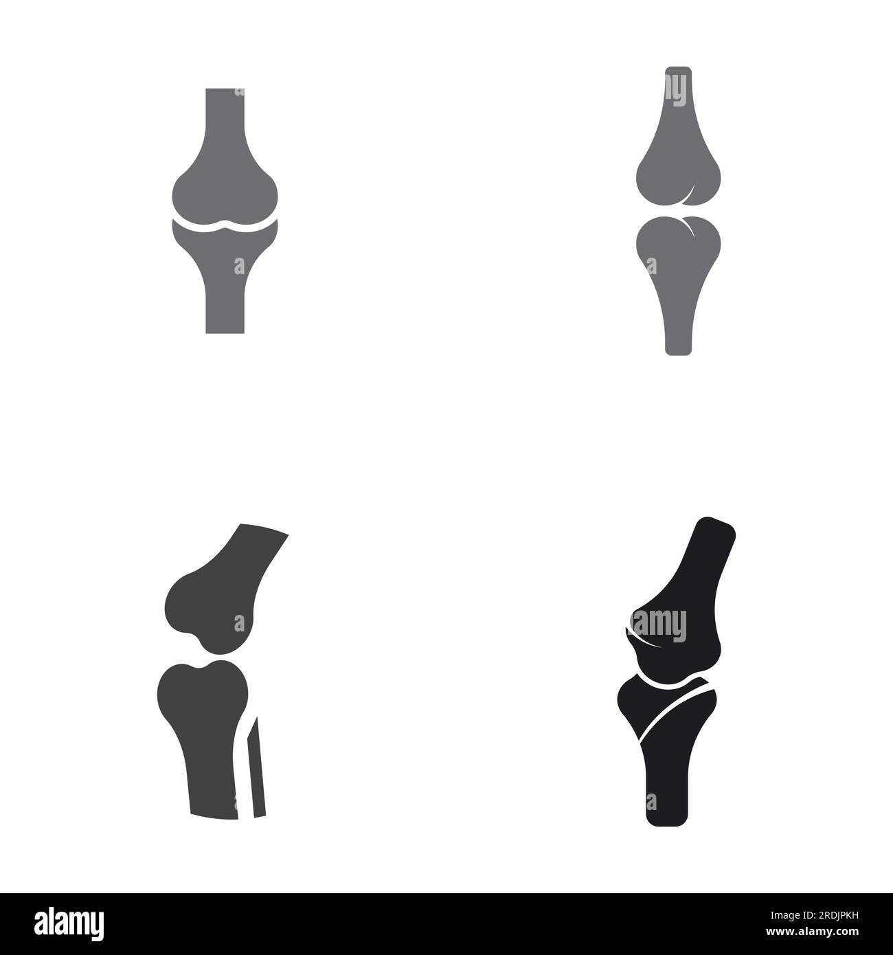 Bone logo icon vector design Stock Vector Image & Art - Alamy