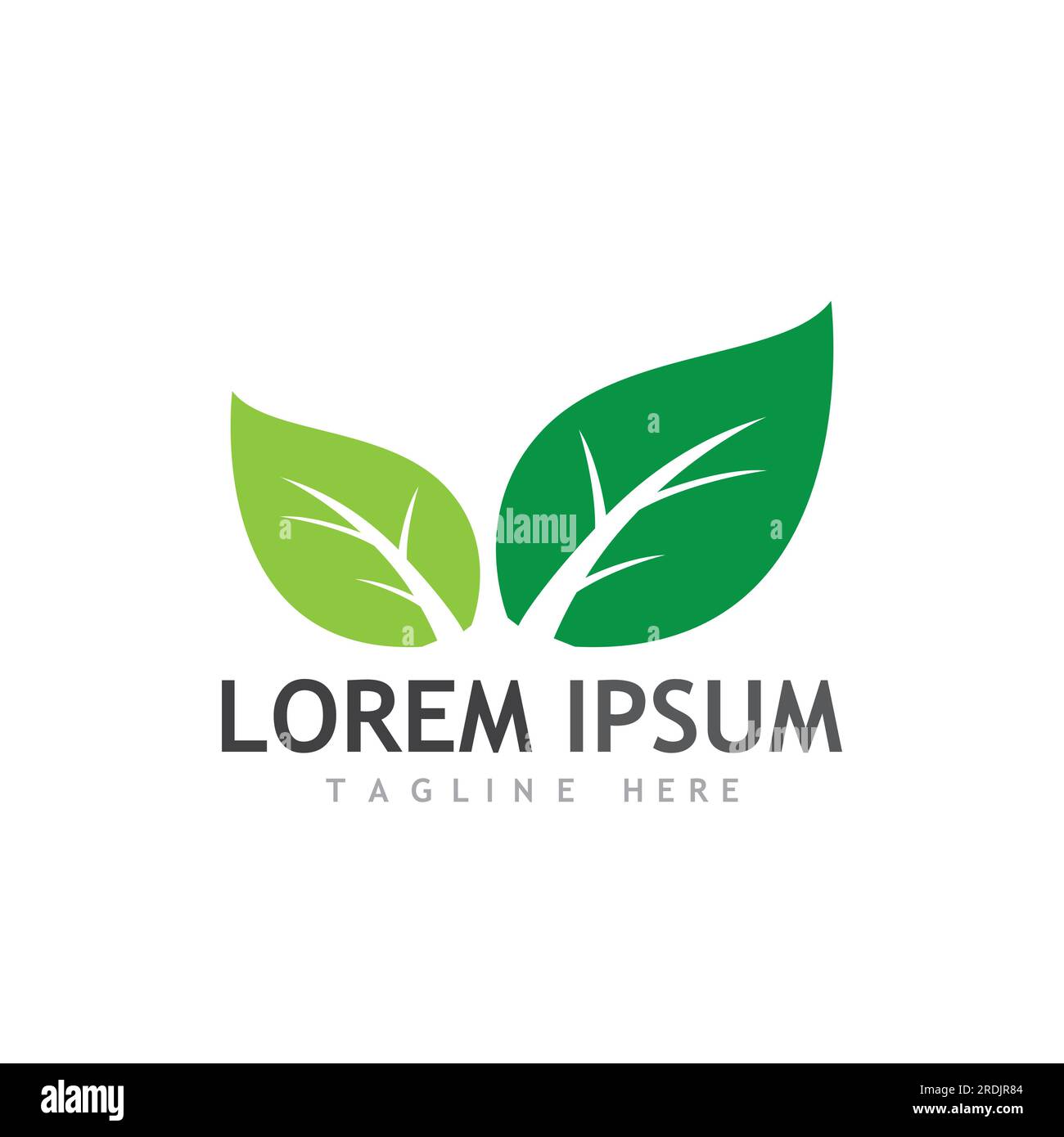 leaf logo and vector images Stock Vector