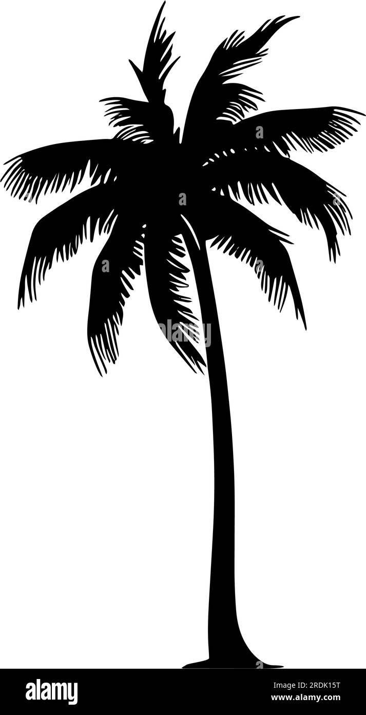 Palm tree silhouette. Vector illustration Stock Vector Image & Art - Alamy