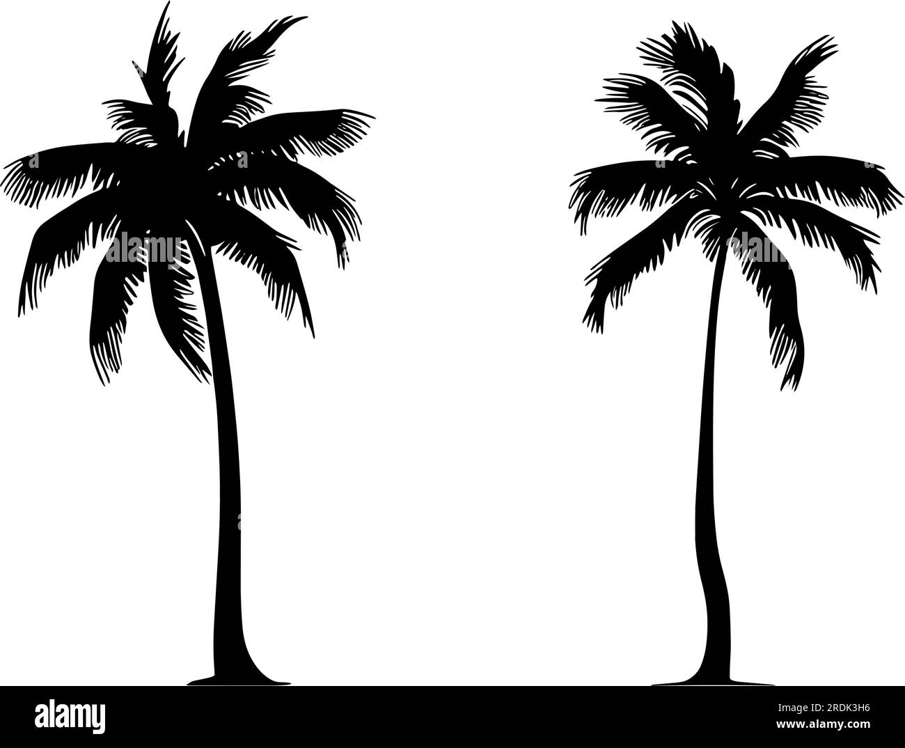 Set Of Two Palm Tree Silhouette Vector Illustration Stock Vector Image set-of-two-palm-tree-silhouette-vector-illustration-stock-vector-image